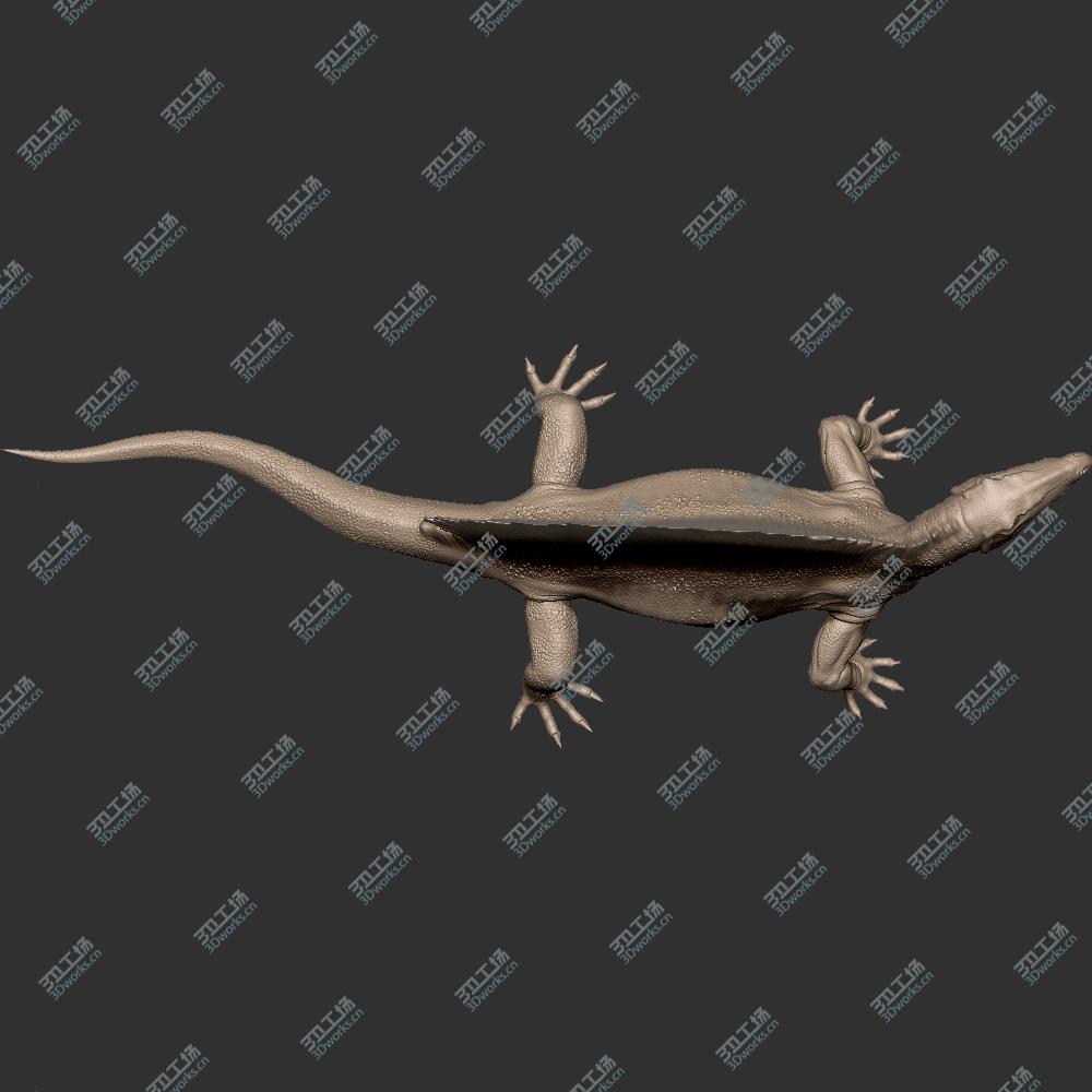 images/goods_img/20200601/261 蜥蜴 鳄鱼 恐龙 摆件 工艺品 STL 手办 3D扫描 3D打印 雕像 高模 雕塑 zbru/5.jpg